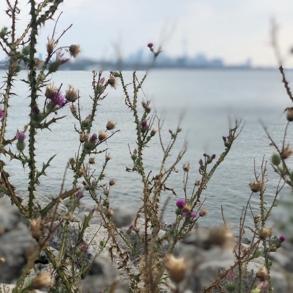 Meet your Posher, Jill - Picture 1 of 1